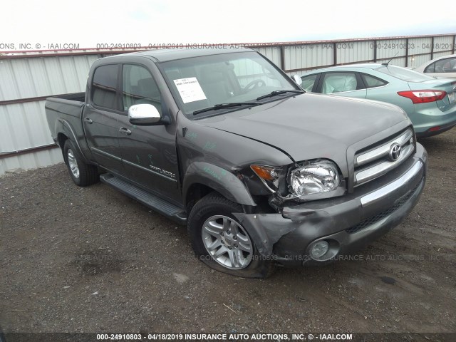 5TBDT44106S517008 - 2006 TOYOTA TUNDRA DOUBLE CAB SR5 GRAY photo 1