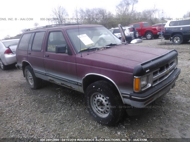 1GNDT13W3P2132593 - 1993 CHEVROLET BLAZER S10 PURPLE photo 1