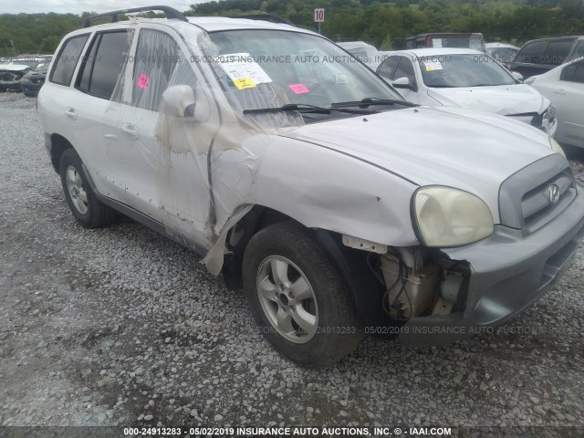 KM8SC13D55U941749 - 2005 HYUNDAI SANTA FE GLS/LX WHITE photo 6