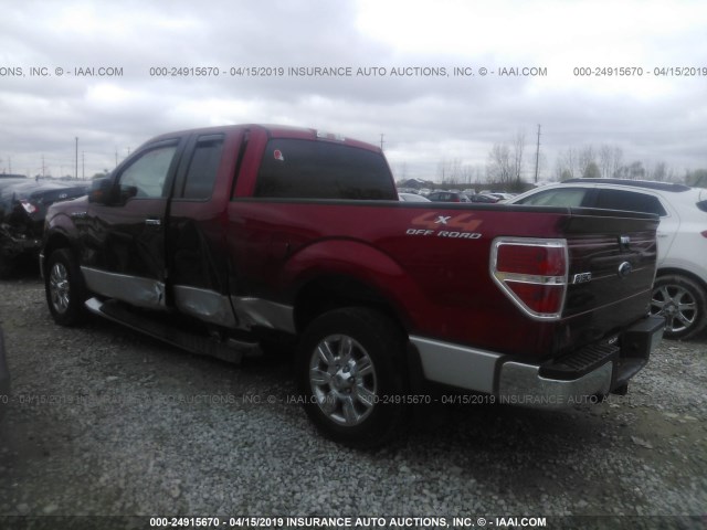 1FTFX1CV1AFD24110 - 2010 FORD F150 SUPER CAB RED photo 3