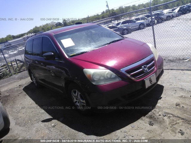 5FNRL38625B070200 - 2005 HONDA ODYSSEY EXL MAROON photo 1