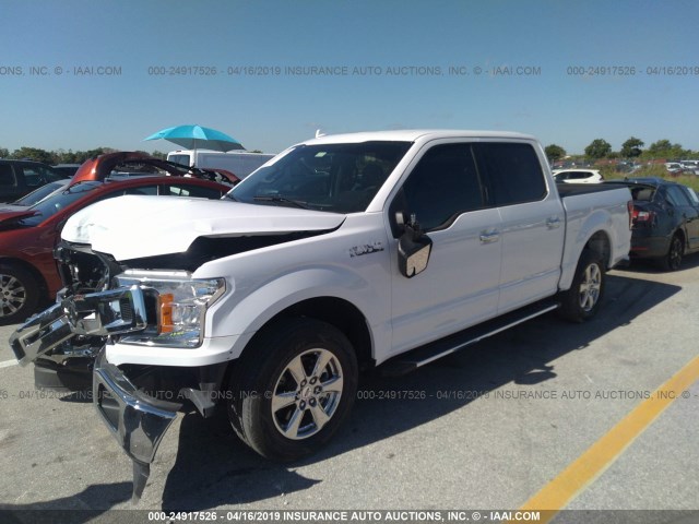 1FTEW1CP5JKD64360 - 2018 FORD F150 SUPERCREW WHITE photo 2
