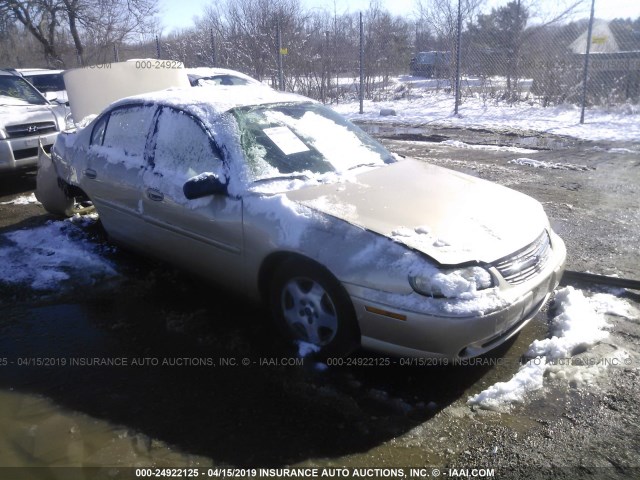 1G1ND52F75M188341 - 2005 CHEVROLET CLASSIC TAN photo 1