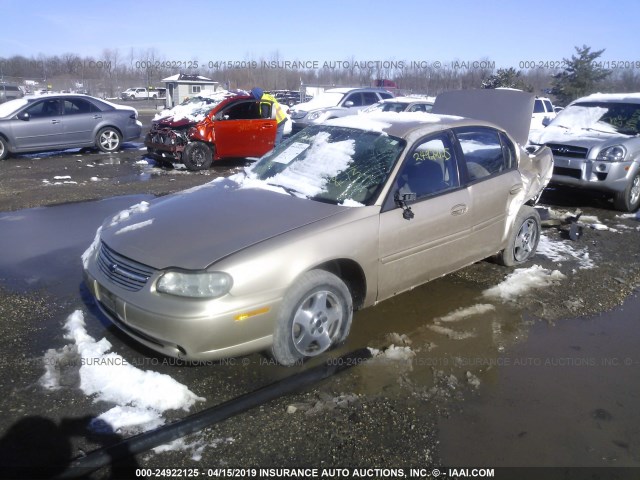 1G1ND52F75M188341 - 2005 CHEVROLET CLASSIC TAN photo 2