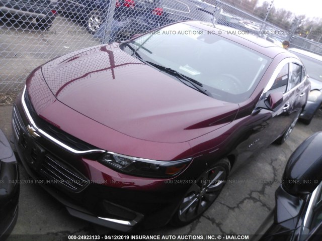 1G1ZH5SX7GF184831 - 2016 CHEVROLET MALIBU PREMIER BURGUNDY photo 2