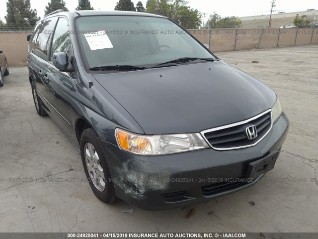 5FNRL18014B033671 - 2004 HONDA ODYSSEY EXL GRAY photo 1