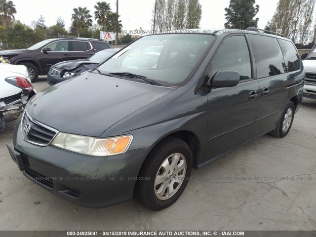 5FNRL18014B033671 - 2004 HONDA ODYSSEY EXL GRAY photo 2