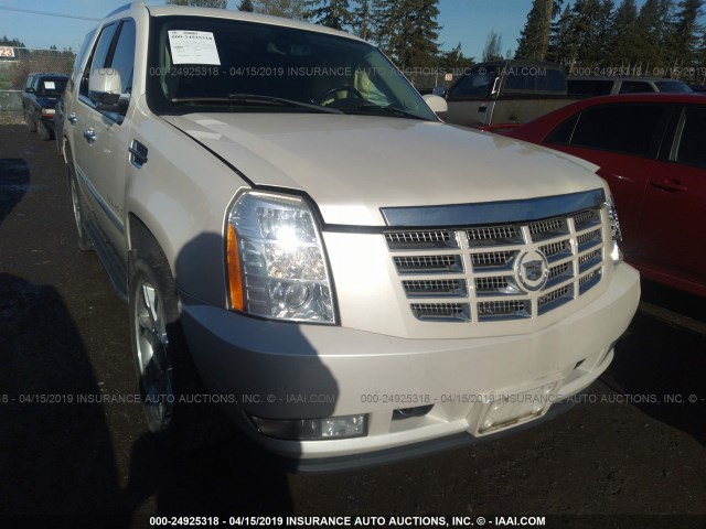 1GYFK63847R403973 - 2007 CADILLAC ESCALADE LUXURY თეთრი ფოტო 1