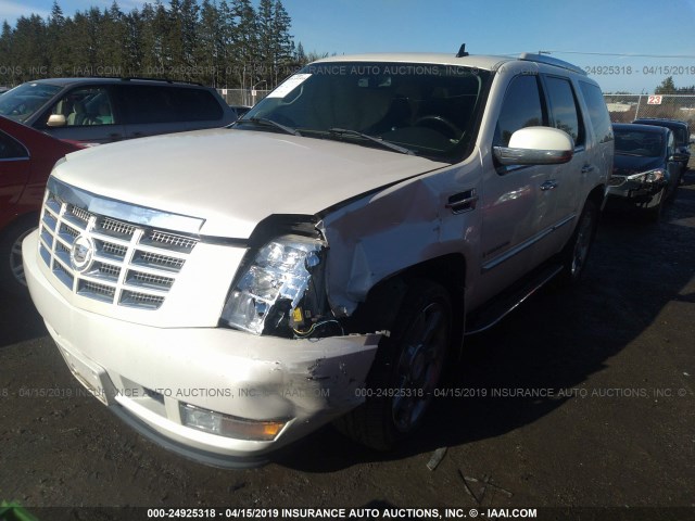1GYFK63847R403973 - 2007 CADILLAC ESCALADE LUXURY თეთრი ფოტო 2
