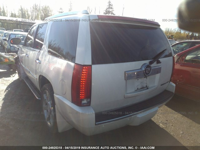 1GYFK63847R403973 - 2007 CADILLAC ESCALADE LUXURY თეთრი ფოტო 3