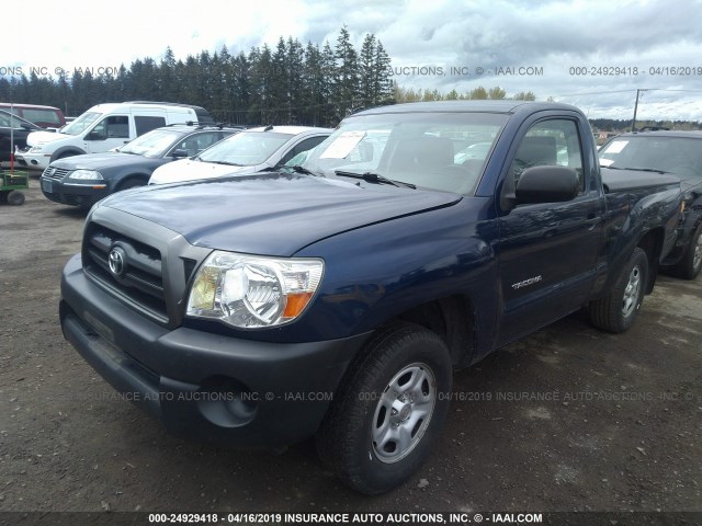 5TENX22N08Z479991 - 2008 TOYOTA TACOMA BLUE photo 2