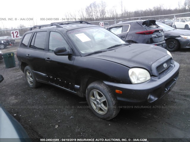 KM8SC13D53U487757 - 2003 HYUNDAI SANTA FE GLS/LX BLACK photo 1