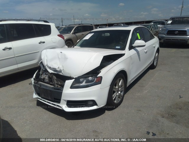 WAUJF78K59N060693 - 2009 AUDI A4 PREMIUM PLUS WHITE photo 2