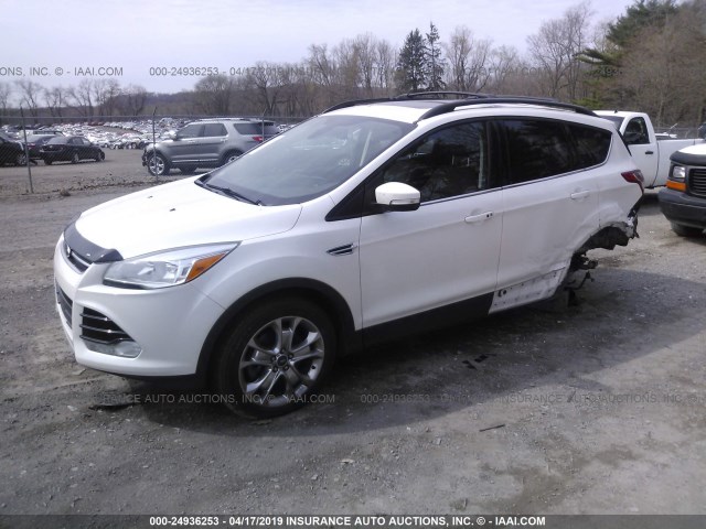 1FMCU0H90DUC32922 - 2013 FORD ESCAPE SEL WHITE photo 2