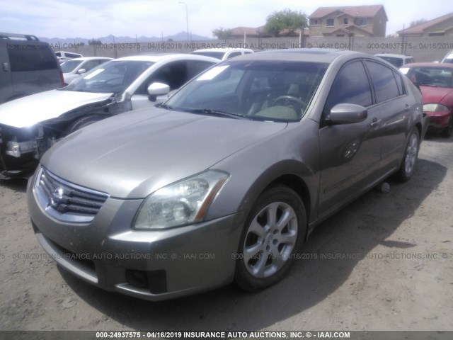 1N4BA41E27C806878 - 2007 NISSAN MAXIMA SE/SL GOLD photo 2