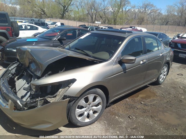 JHMCP26838C007373 - 2008 HONDA ACCORD EXL GOLD photo 2