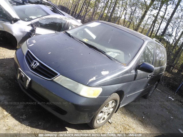 5FNRL18044B066583 - 2004 HONDA ODYSSEY EXL BLUE photo 2