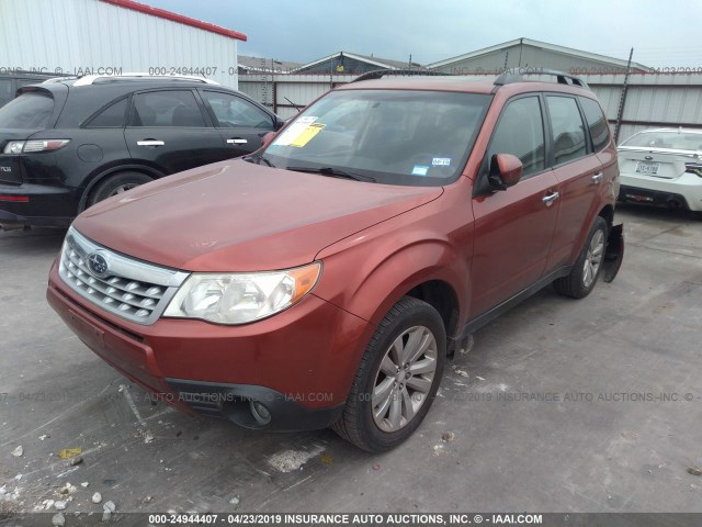 JF2SHBEC1BH710661 - 2011 SUBARU FORESTER LIMITED ORANGE photo 2