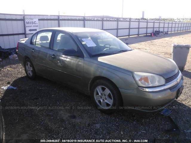 1G1ZT54865F155435 - 2005 CHEVROLET MALIBU LS GREEN photo 1