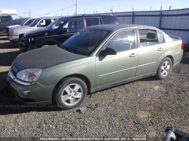 1G1ZT54865F155435 - 2005 CHEVROLET MALIBU LS GREEN photo 2