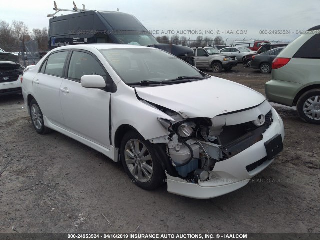 2T1BU4EEXAC251463 - 2010 TOYOTA COROLLA S/LE/XLE WHITE photo 1