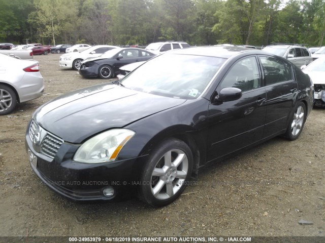 1N4BA41E06C855253 - 2006 NISSAN MAXIMA SE/SL BLACK photo 2