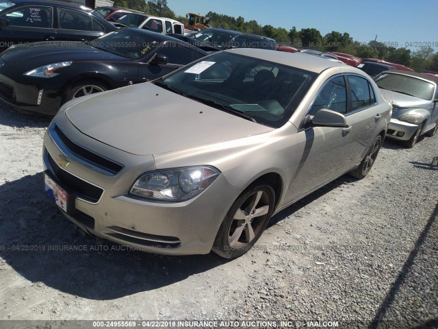 1G1ZC5E11BF357953 - 2011 CHEVROLET MALIBU 1LT Pewter photo 2