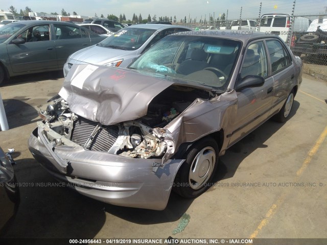 1NXBR12E9YZ404461 - 2000 TOYOTA COROLLA VE/CE/LE TAN photo 2