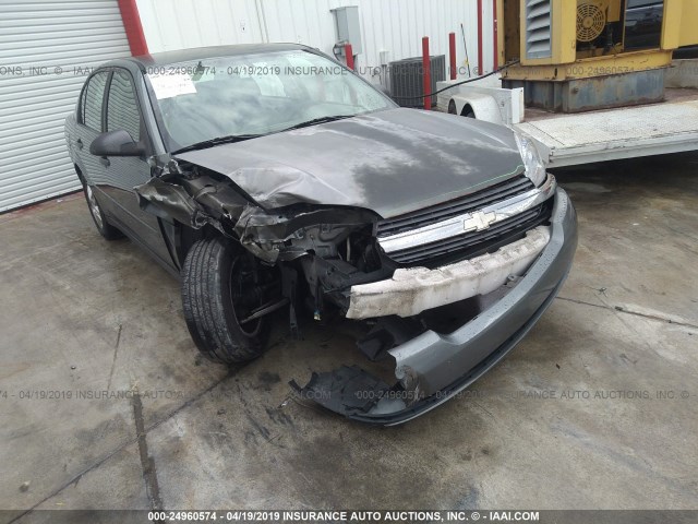 1G1ZT52894F156841 - 2004 CHEVROLET MALIBU LS GRAY photo 1