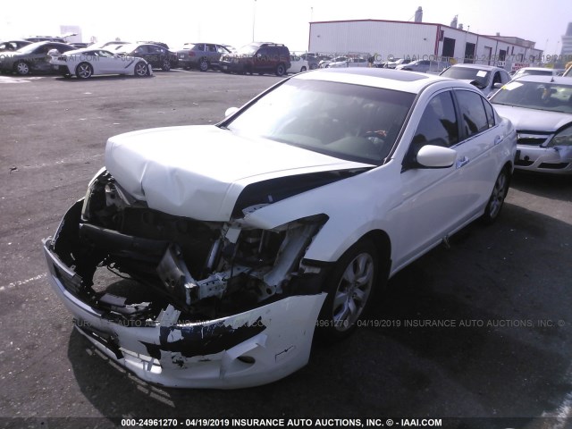 1HGCP36858A041402 - 2008 HONDA ACCORD EXL WHITE photo 2