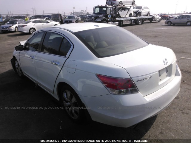 1HGCP36858A041402 - 2008 HONDA ACCORD EXL WHITE photo 3