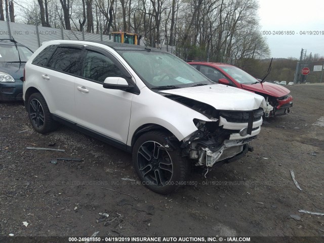 2FMDK4JC8DBE30418 - 2013 FORD EDGE SEL WHITE photo 1