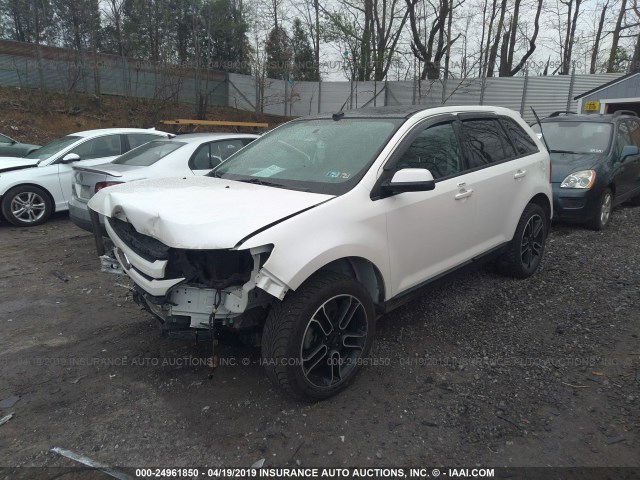 2FMDK4JC8DBE30418 - 2013 FORD EDGE SEL WHITE photo 2