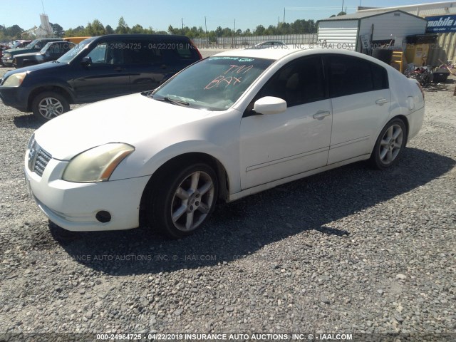 1N4BA41E85C817509 - 2005 NISSAN MAXIMA SE/SL WHITE photo 2