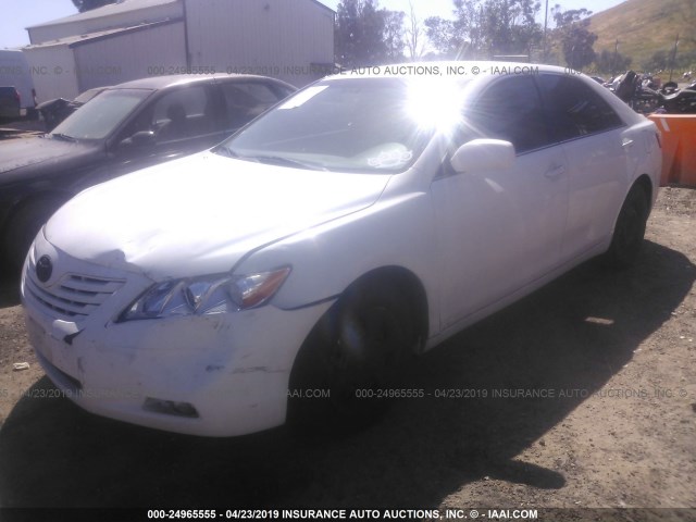 4T1BE46K49U880034 - 2009 TOYOTA CAMRY SE/LE/XLE WHITE photo 2