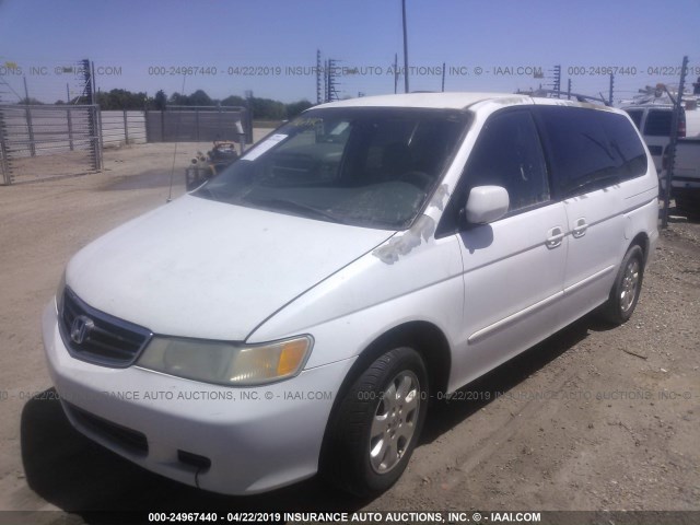 5FNRL18082B053932 - 2002 HONDA ODYSSEY EXL WHITE photo 2