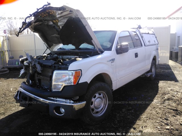 1FTFX1EF8DKE78363 - 2013 FORD F150 SUPER CAB WHITE photo 2