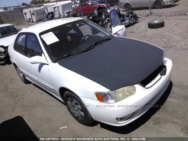 1NXBR12E51Z486260 - 2001 TOYOTA COROLLA CE/LE/S WHITE photo 1