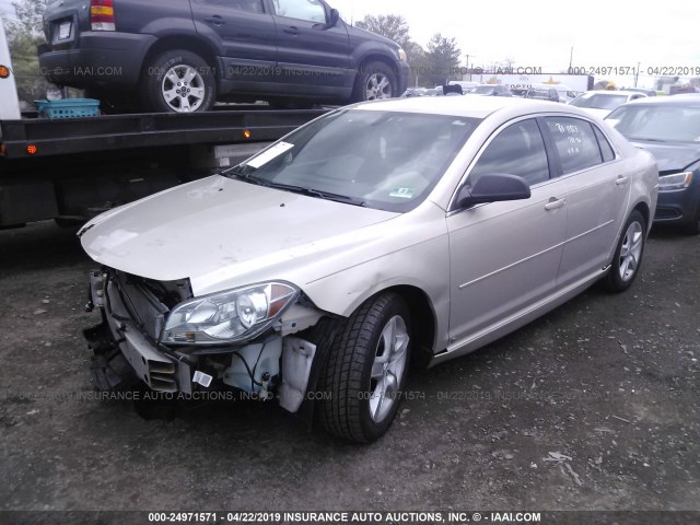 1G1ZB5EB6AF123186 - 2010 CHEVROLET MALIBU LS TAN photo 2