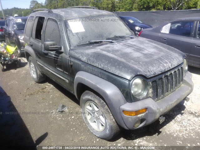 1J4GL48K73W563156 - 2003 JEEP LIBERTY SPORT/FREEDOM GREEN photo 1