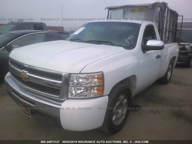 1GCNCPEA3BZ362863 - 2011 CHEVROLET SILVERADO C1500 WHITE photo 2