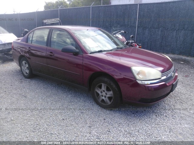 1G1ZT54885F318683 - 2005 CHEVROLET MALIBU LS RED photo 1