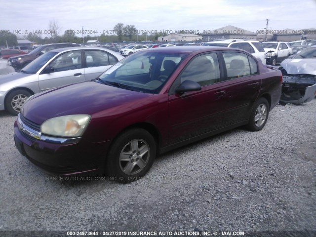 1G1ZT54885F318683 - 2005 CHEVROLET MALIBU LS RED photo 2