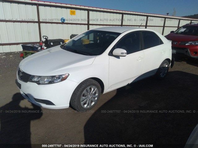 KNAFU4A29A5268570 - 2010 KIA FORTE EX WHITE photo 2