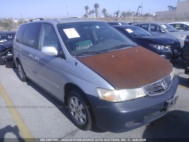 2HKRL18052H573474 - 2002 HONDA ODYSSEY EXL SILVER photo 1