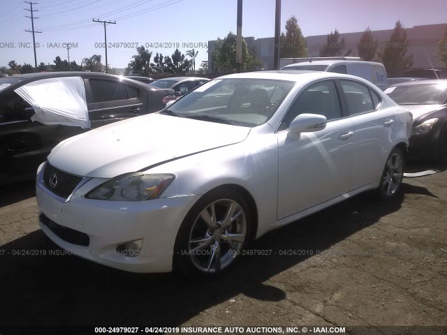 JTHBF5C23A2099189 - 2010 LEXUS IS 250 WHITE photo 2