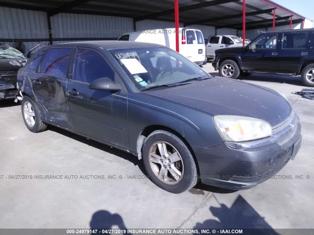 1G1ZT62854F144613 - 2004 CHEVROLET MALIBU MAXX LS GRAY photo 1