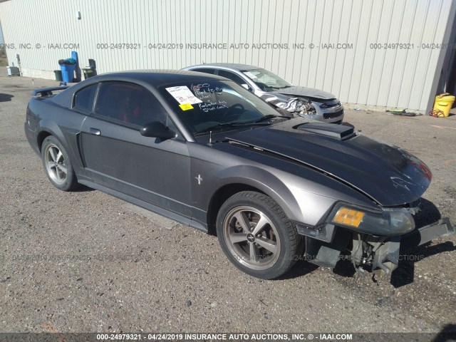 1FAFP42RX3F442817 - 2003 FORD MUSTANG MACH I GRAY photo 1