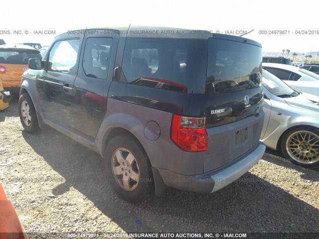 5J6YH28543L000281 - 2003 HONDA ELEMENT EX BLACK photo 3