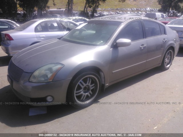 1N4BA41E04C872521 - 2004 NISSAN MAXIMA SE/SL TAN photo 2